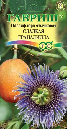 Семена пассифлора язычковая Сладкая Гранадилла, Гавриш: фото