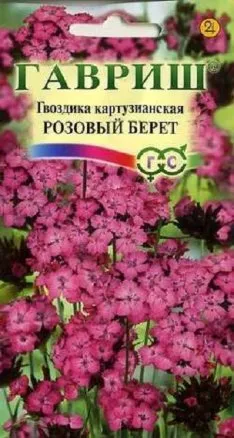 Семена гвоздика картузианская Розовый Берет, Гавриш: фото