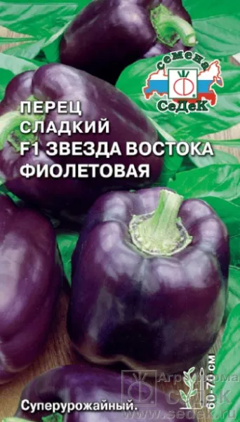 Семена перец Звезда Востока F1 фиолетовая, Седек: фото