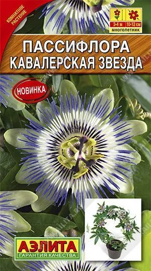 Семена пассифлора Кавалерская Звезда, Аэлита: фото