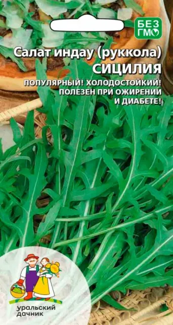 Семена индау (руккола) Сицилия, Уральский дачник: фото