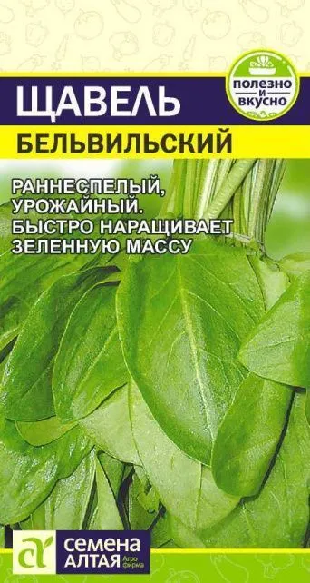 Семена щавель Бельвильский , Семена Алтая: фото
