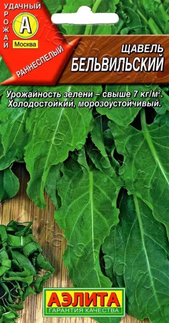 Семена щавель Бельвильский , Аэлита: фото