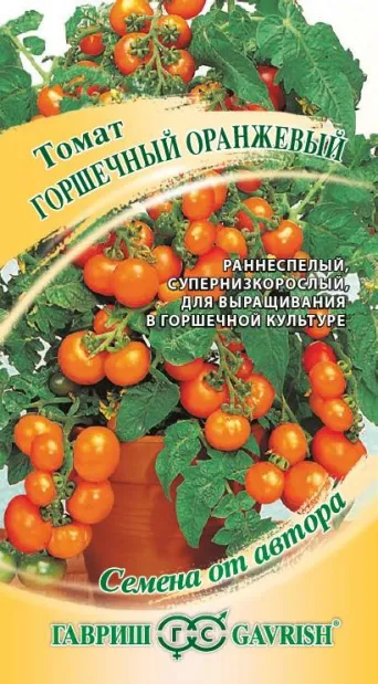 Семена томат Горшечный оранжевый, Гавриш: фото