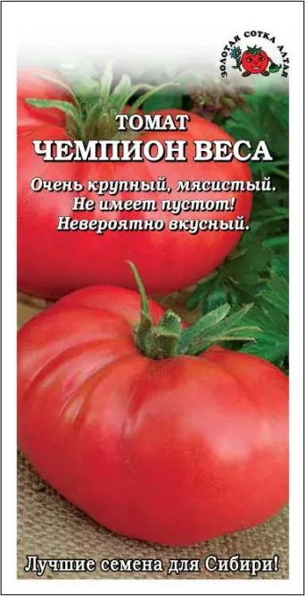 Семена томат Чемпион веса, Золотая сотка: фото