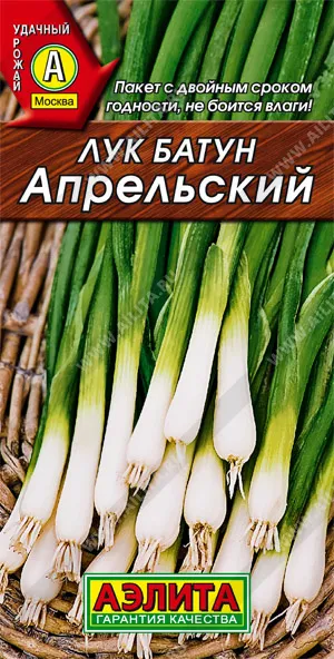 Семена лук батун Апрельский, Аэлита: фото