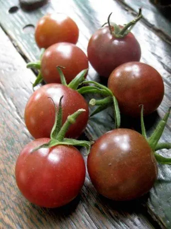 Семена томат Черри Черный, Аэлита: фото