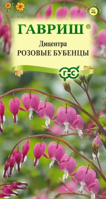 Семена дицентра Розовые Бубенцы, Гавриш: фото