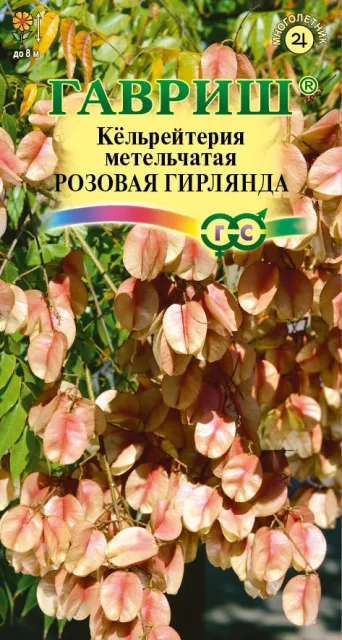 Семена кёльрейтерия Розовая гирлянда, Гавриш: фото