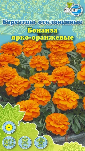Бархатцы отклоненные Бонанза ярко-оранжевые, ИНВЕНТ+: фото