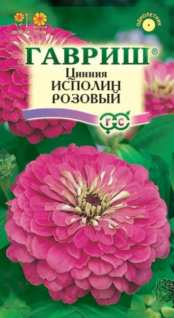 Семена цинния Исполин розовый, Гавриш: фото