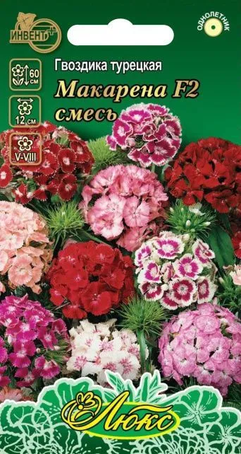 Гвоздика турецкая Макарена F2 смесь (серия ЛЮКС), ИНВЕНТ+: фото