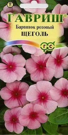 Семена барвинок (катарантус) розовый Щеголь, Гавриш: фото