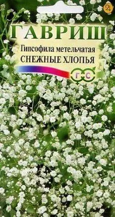 Семена гипсофила метельчатая Снежные Хлопья, Гавриш: фото