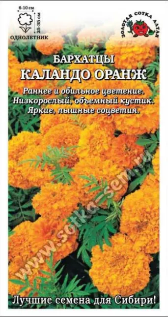Семена бархатцы Каландо Оранж, Золотая Сотка: фото