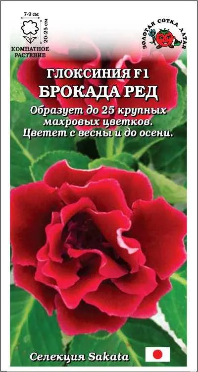 Семена цветов купить в интернет-магазине irhidey.ru с доставкой по Казахстану.