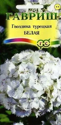Семена гвоздика турецкая Белая, Гавриш: фото