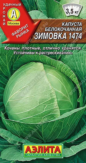 Семена капуста б/к Зимовка-1474, Аэлита: фото