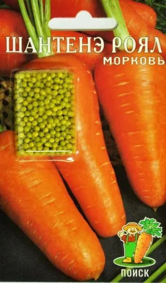 Семена морковь драже Шантанэ Роял, Поиск: фото