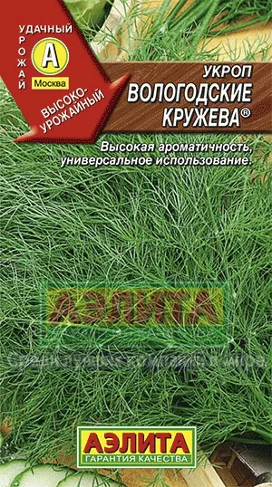 Семена укроп Вологодские кружева, Аэлита: фото