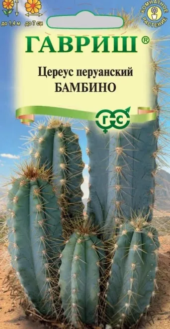 Семена цереус перуанский Бамбино, Гавриш: фото