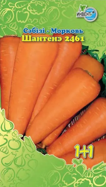 Морковь Шантенэ 1+1, ИНВЕНТ+: фото
