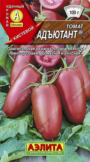 Семена томат Адъютант, Аэлита: фото