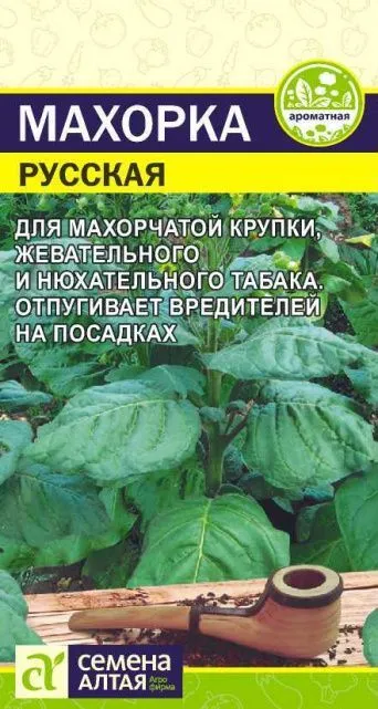 Семена махорка Русская, Семена Алтая: фото