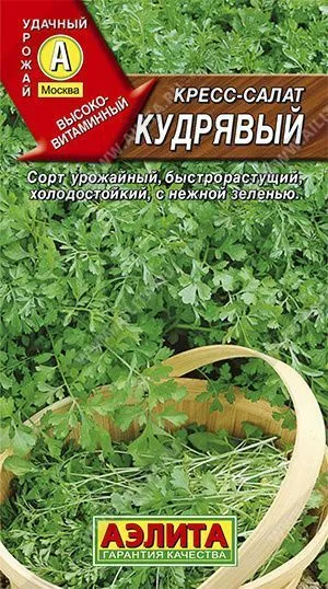 Семена кресс-салат Кудрявый, Аэлита: фото