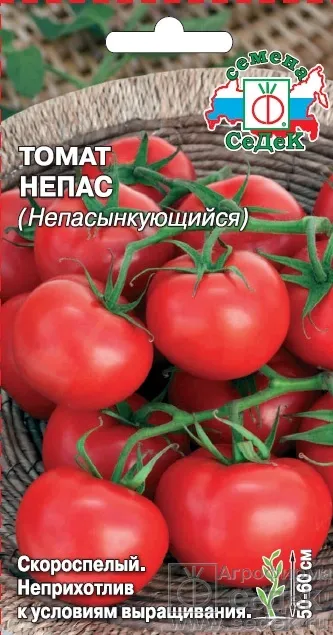Семена томат Непас (Непасынкующийся), Седек: фото