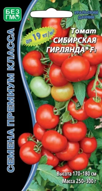 Семена томат Сибирская гирлянда F1 , Уральский дачник: фото