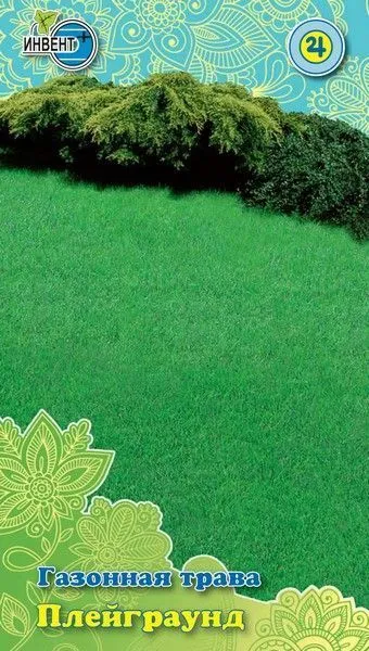 Газонная трава Плейграунд, ИНВЕНТ+: фото