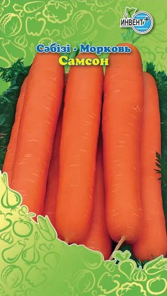 Морковь Самсон, ИНВЕНТ+: фото