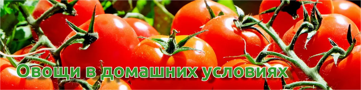 Домашние овощи