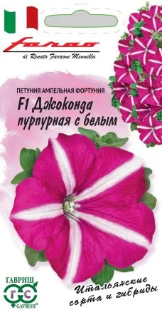 Семена петуния ампельная фортуния Джоконда F1 пурпурная с белым, Гавриш: фото