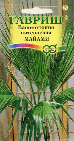 Семена вашингтония нитеносная Майами, Гавриш: фото